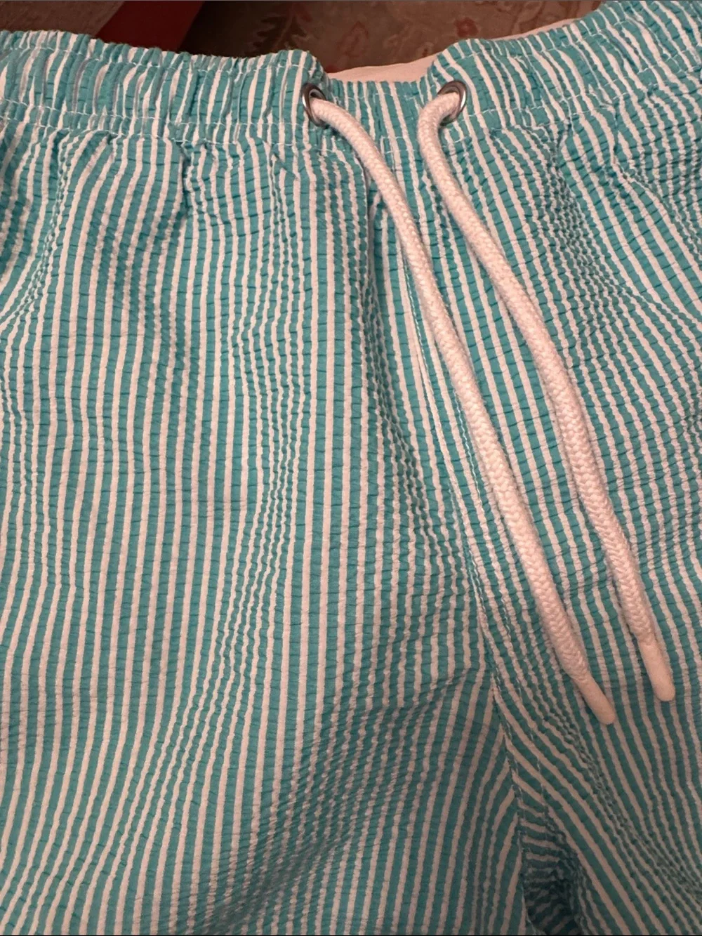 Zara Striped Teal Seersucker Drawstring Mens bathing suit